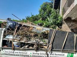 Best Construction Debris Removal  in Sappington, MO